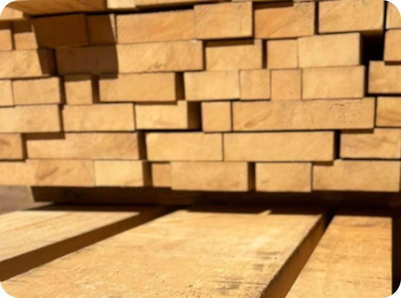 Bacuri - Elegante, resistente a cupins e com acabamento sofisticado