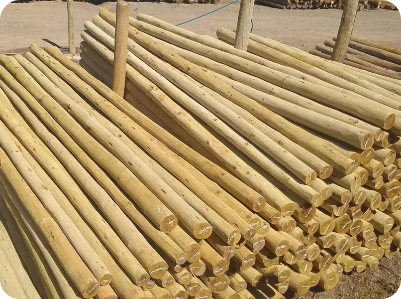 Eucalipto Auto Clavado – Tratado para maior durabilidade e proteção contra pragas