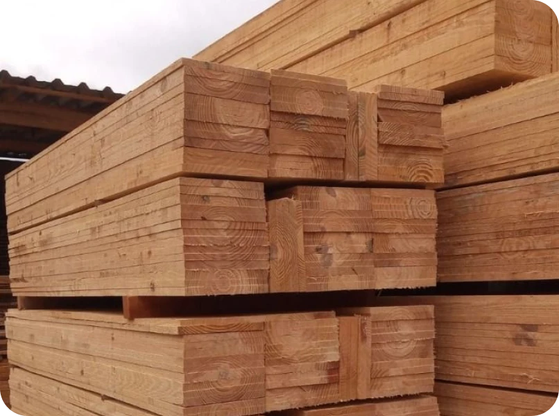 Pinus – Leve, versátil e ideal para móveis e acabamentos